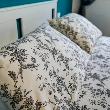 بيت ضيافة Scenario