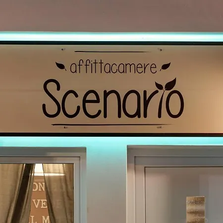 Scenario *